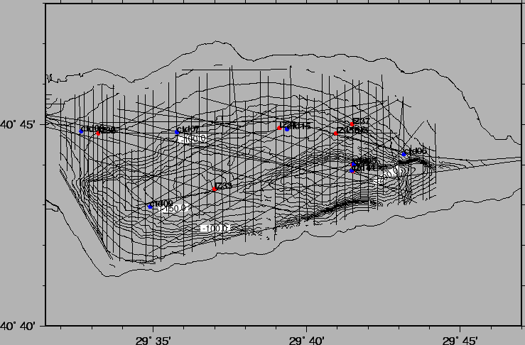 \begin{figure}\centerline{\epsfig{bbllx=10,bblly=30,bburx=595,bbury=460,file=IZMIT_C.ps,width=17.5cm}} \end{figure}