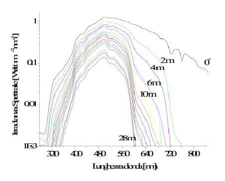 \begin{figure}\centerline{\epsfig{file=IMG/IRR_FIG4.ps,width=10cm}}
\end{figure}