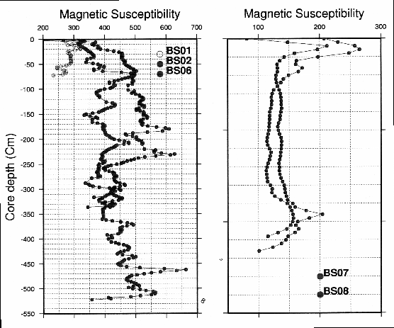 \includegraphics[width=\textwidth]{IMG/MAG_SUSC.eps}